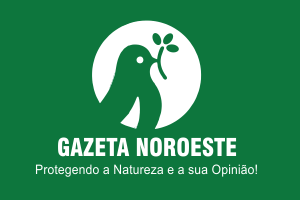 Web Rádio Gazeta Noroeste